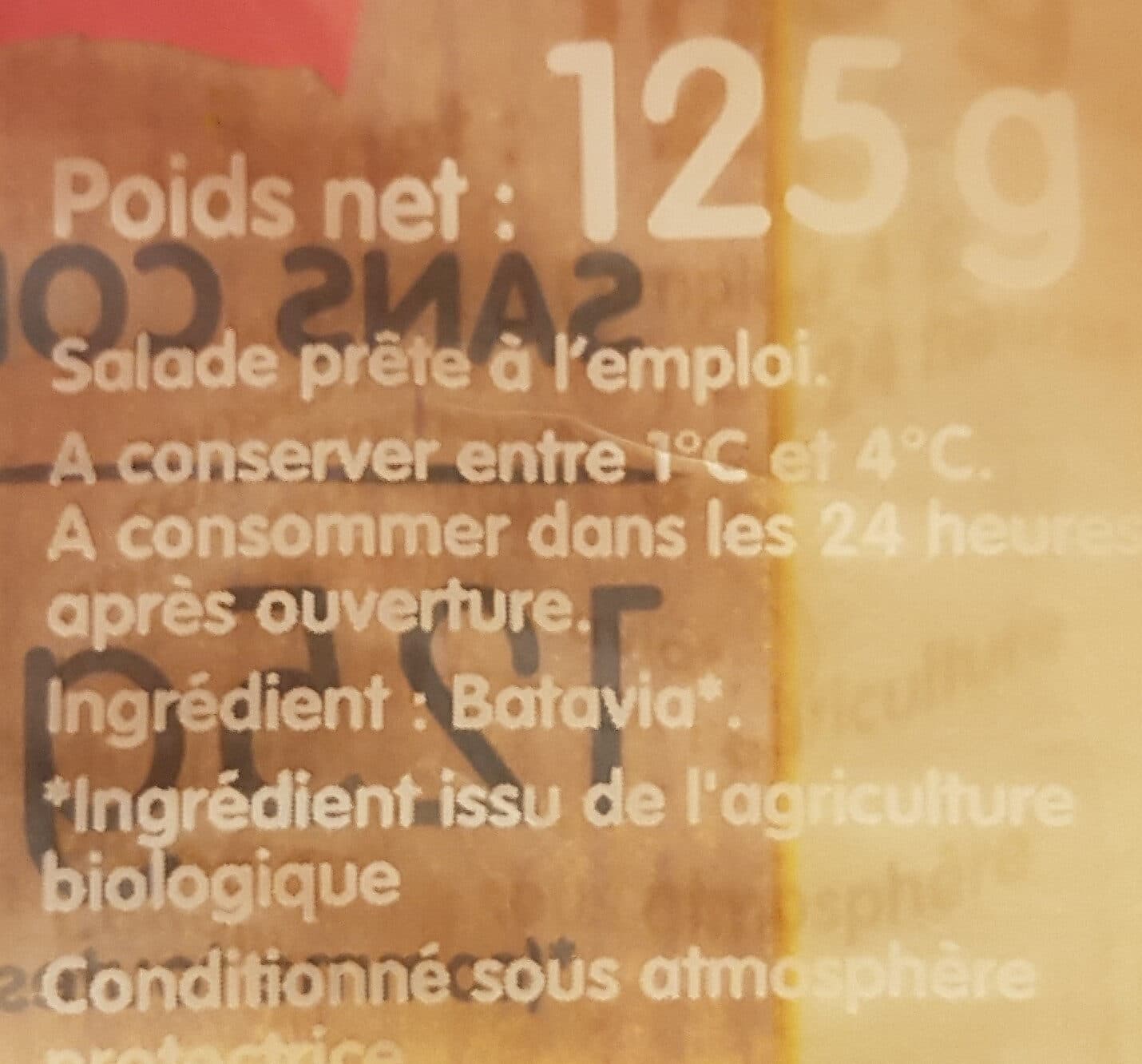 Florette Batavia Bio packshot