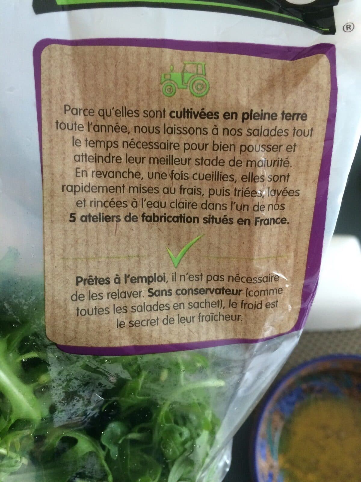 Florette Roquette Bio 100 g packshot
