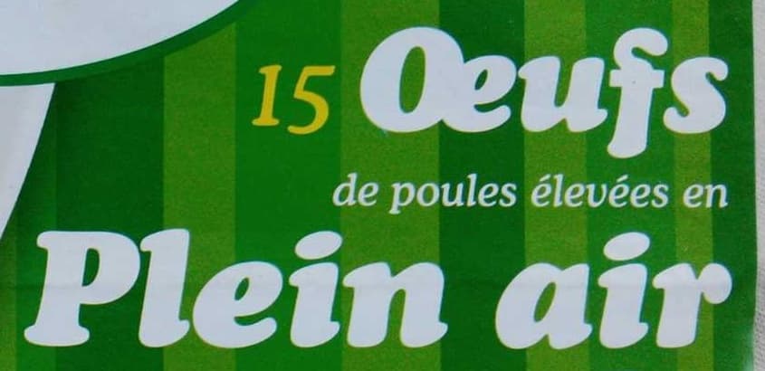 matines 15 Oeufs de poules élevées en Plein air packshot