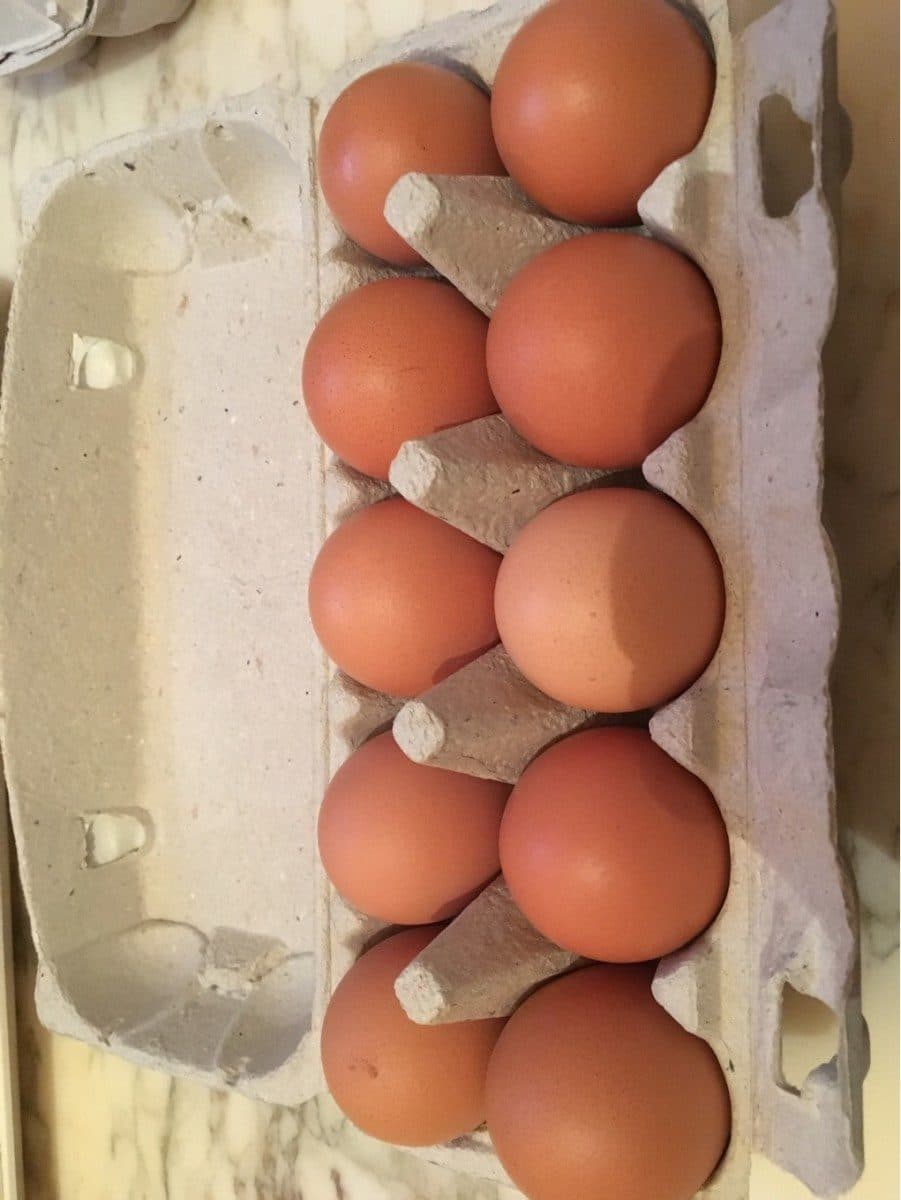 L'Oeuf du Gers 10 oeufs bio packshot