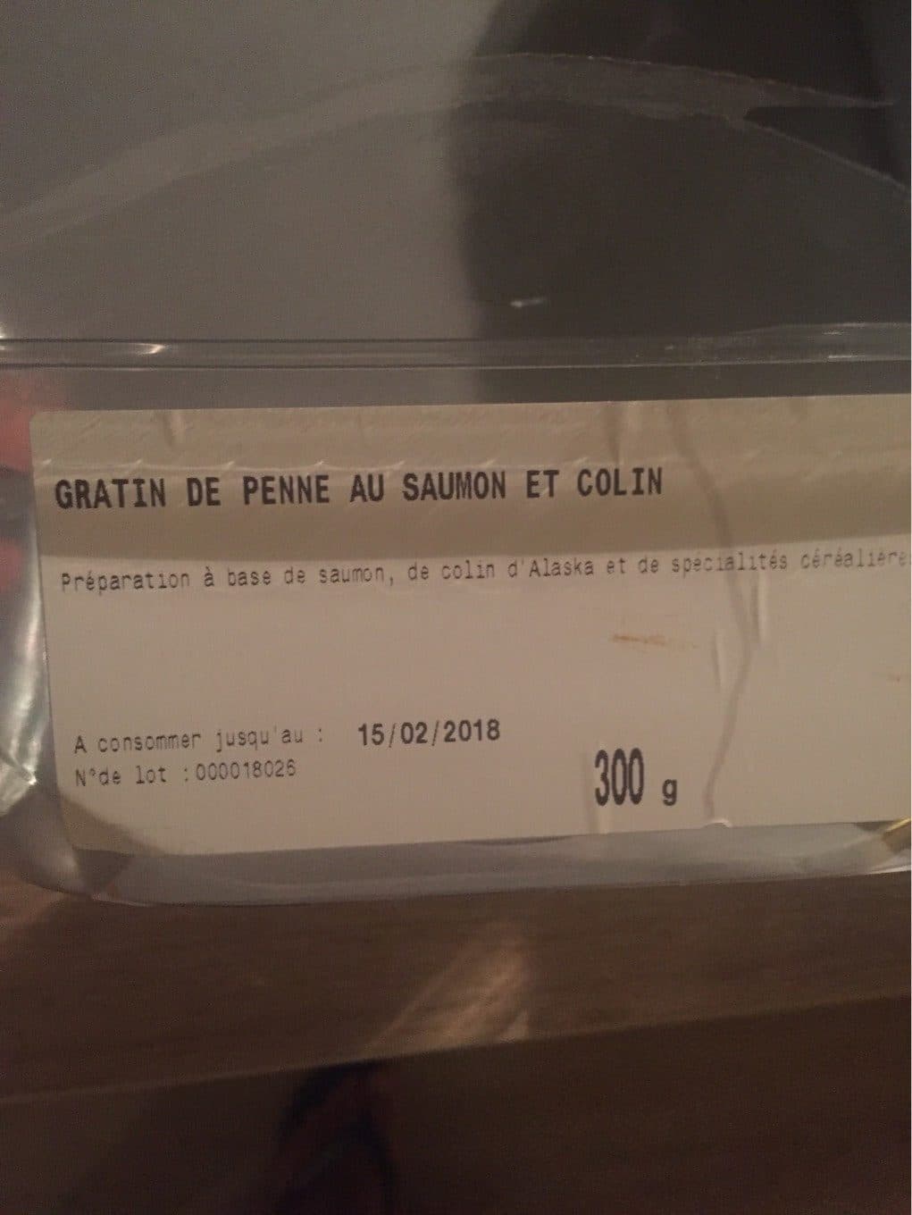 Grand Saloir Saint Nicolas Gratin de penne au saumon et colin packshot