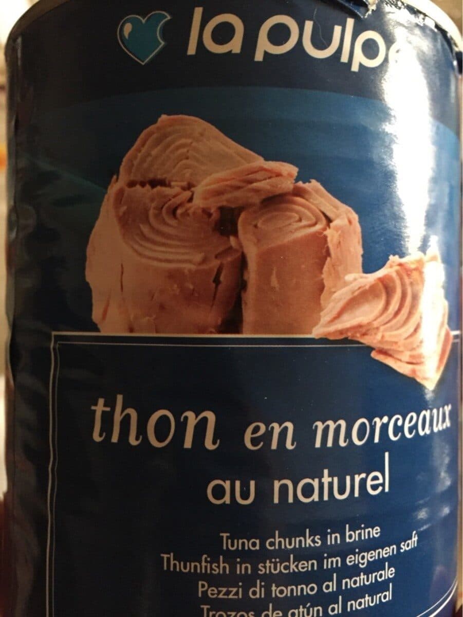 Open Food Facts Thon En Morceaux Au Naturel packshot