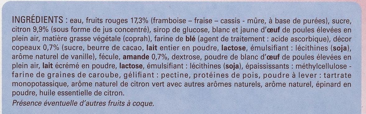 Thiriet Dessert glacé Delissimo Fruits Rouges Citron Biscuit packshot