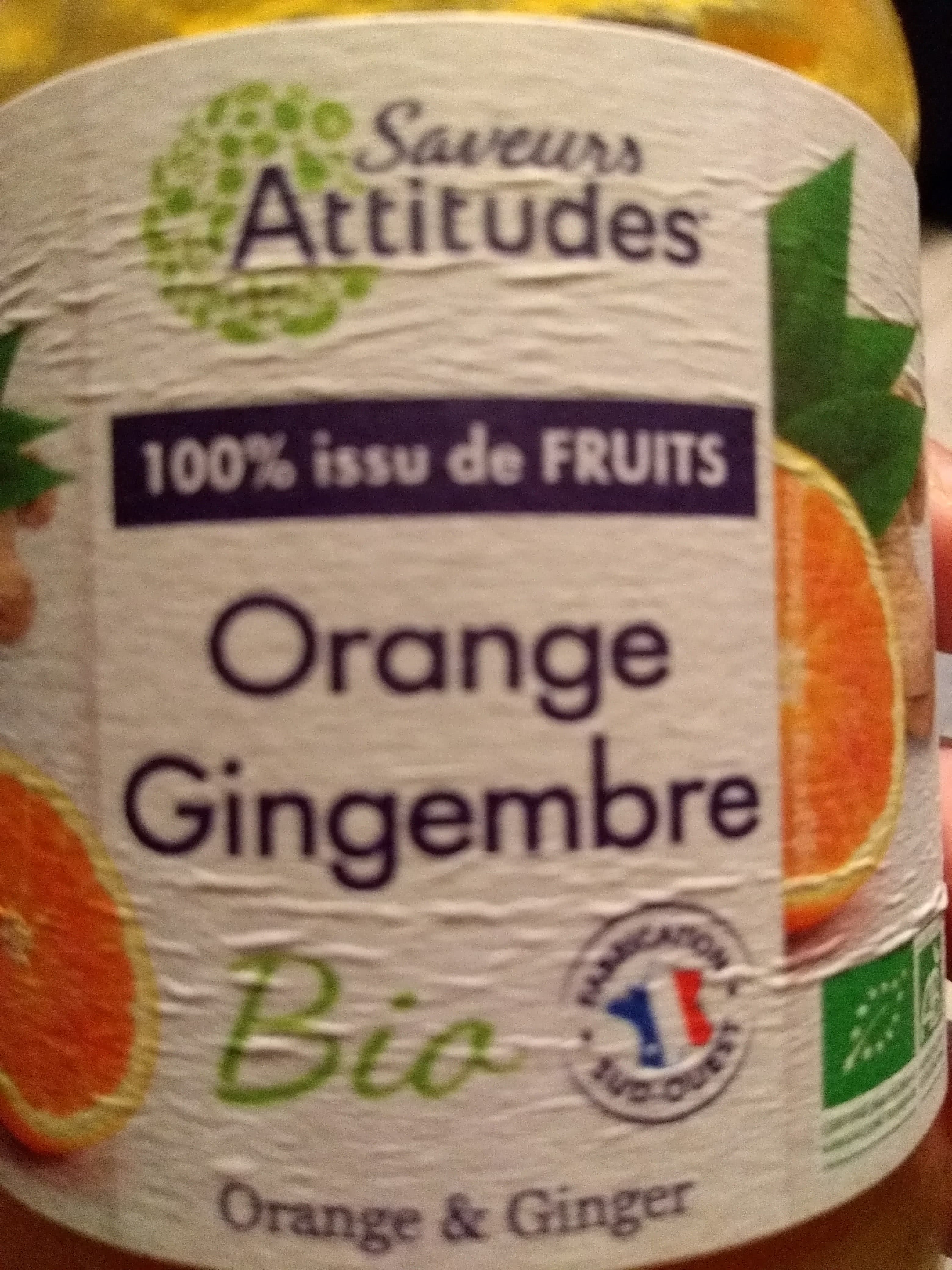 Saveurs attitudes Puree Orange Gingembre packshot