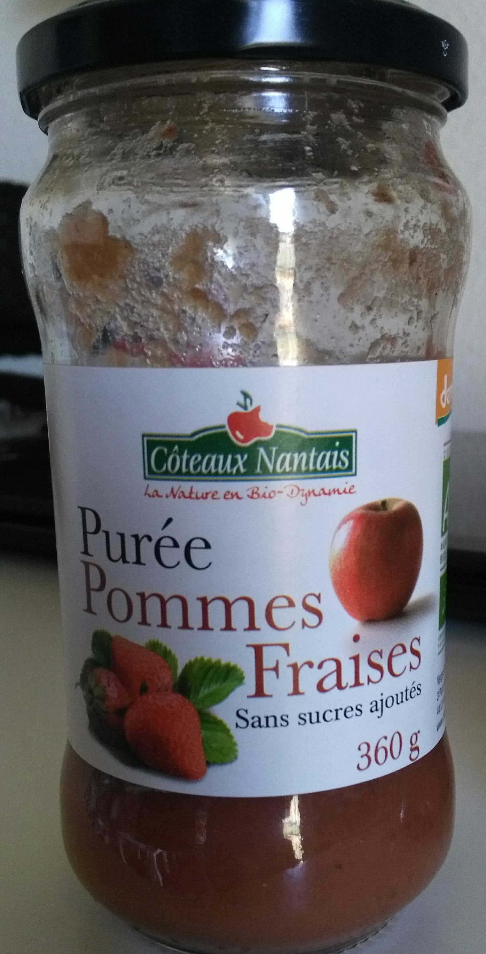 Côteaux nantais 360G Puree Pomme Fraise packshot