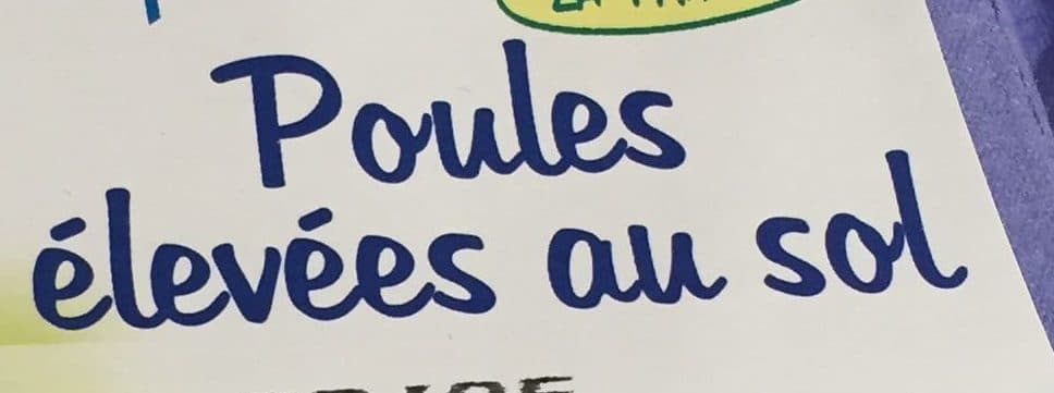 Les Oeufs de Michel Autret Oeufs frais poules élevées au sol packshot