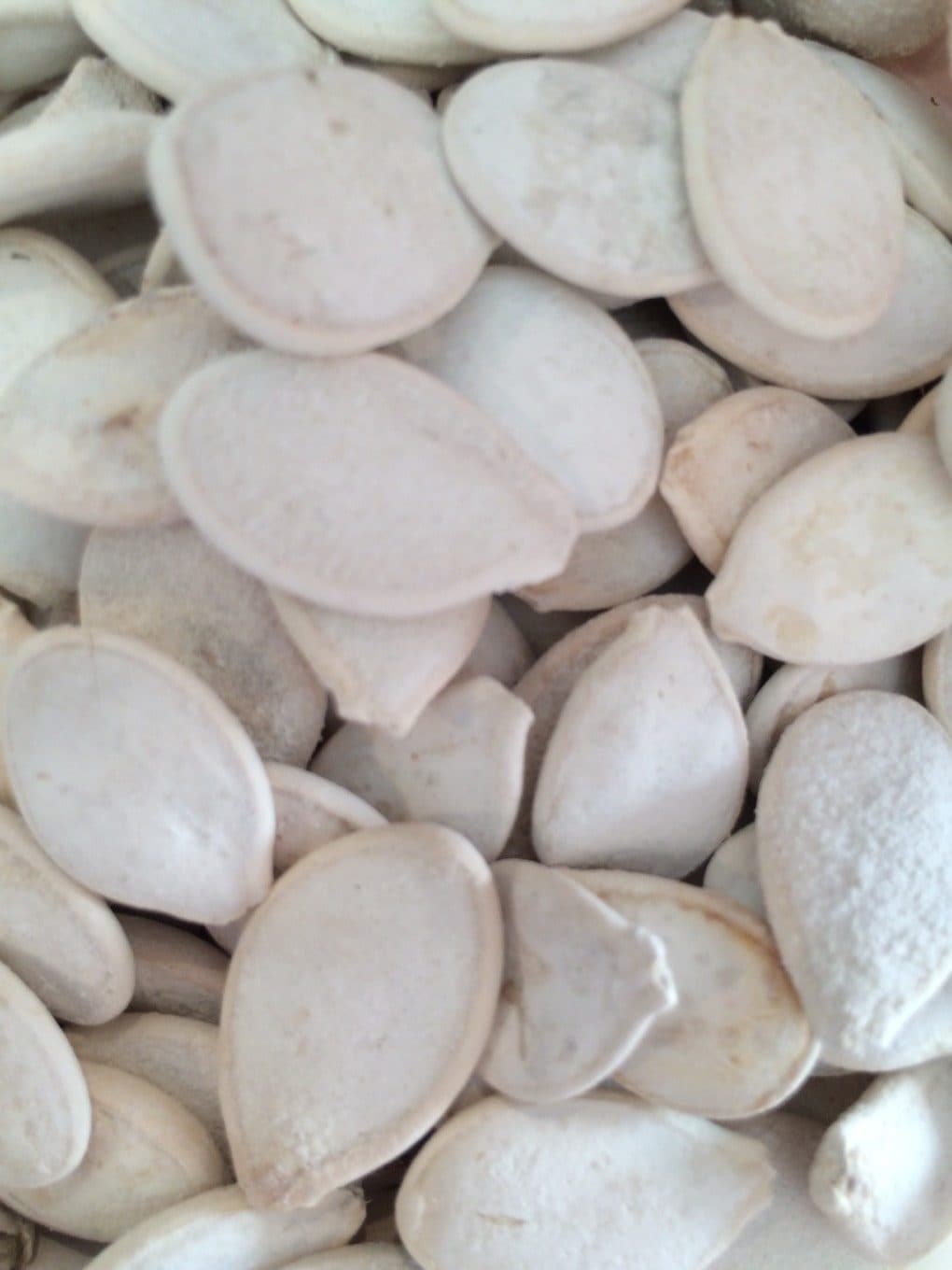 Holy Nuts Graines de courges grillées salées packshot