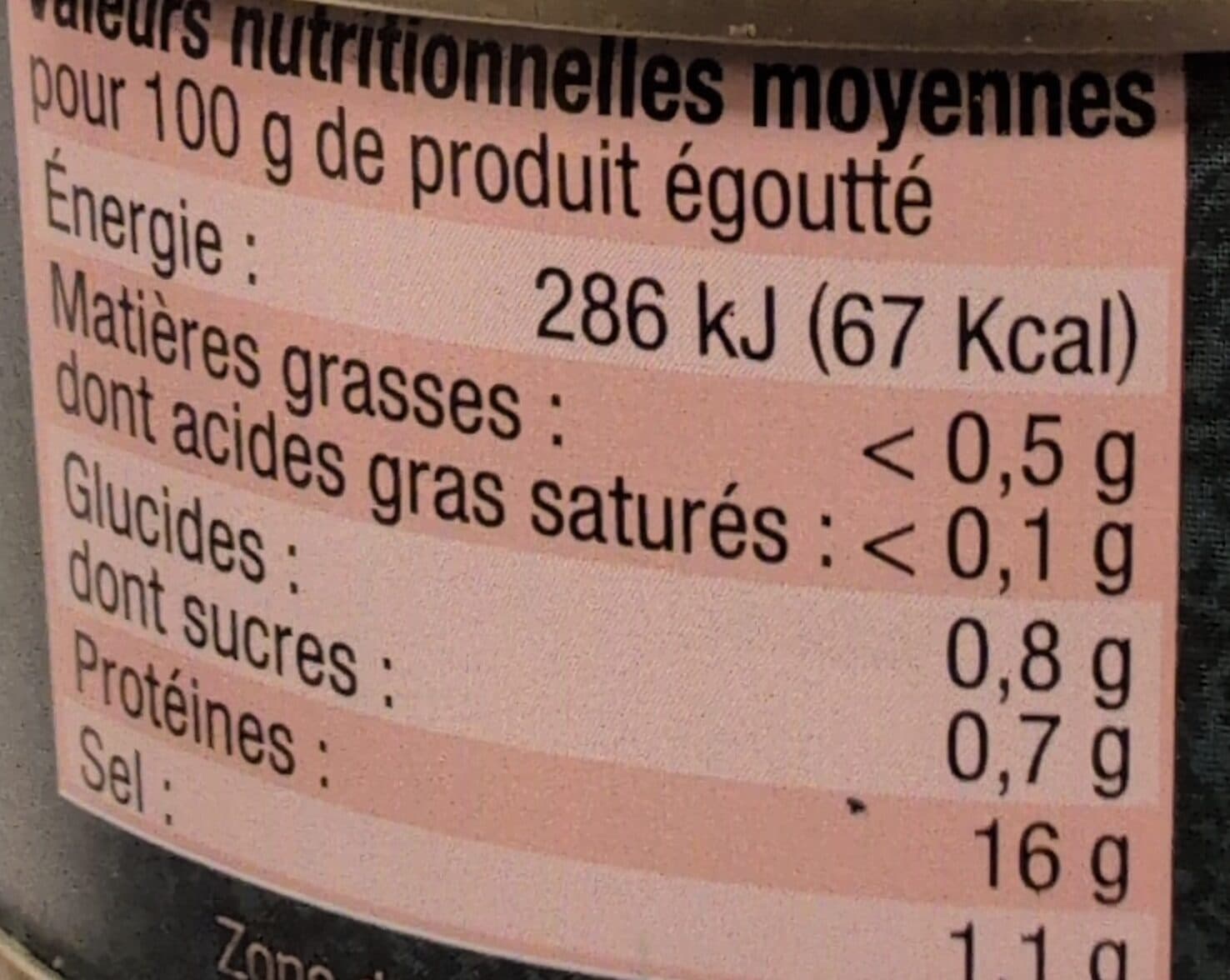 Nautilus Tourteau Chair & Pattes packshot