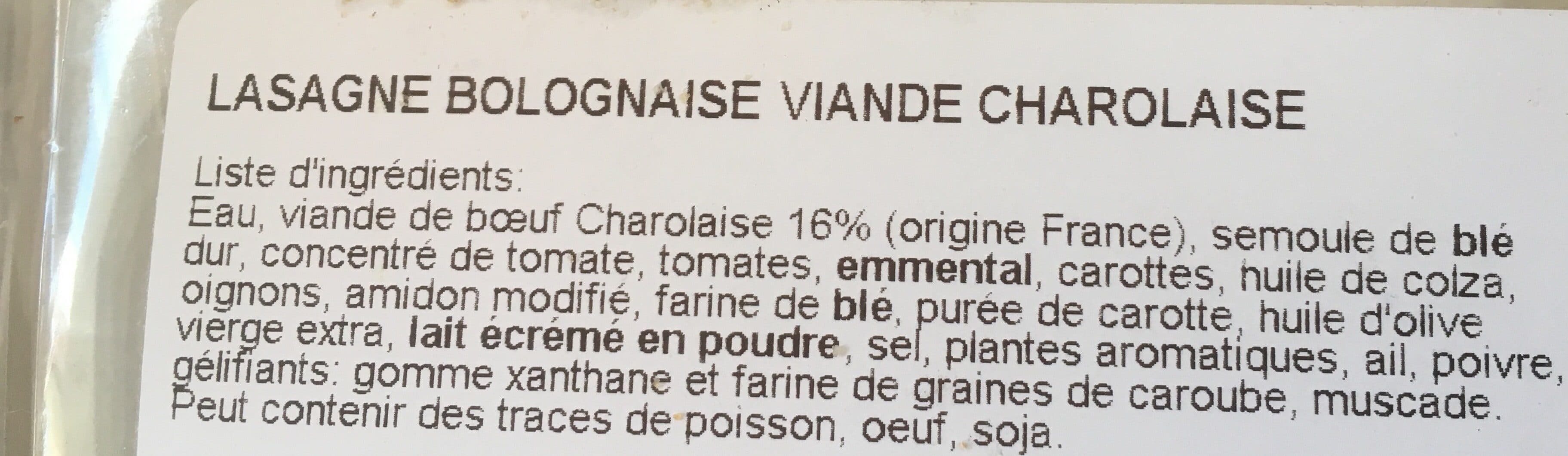 Terbeke France Lasagne Bolognaise au Bœuf packshot