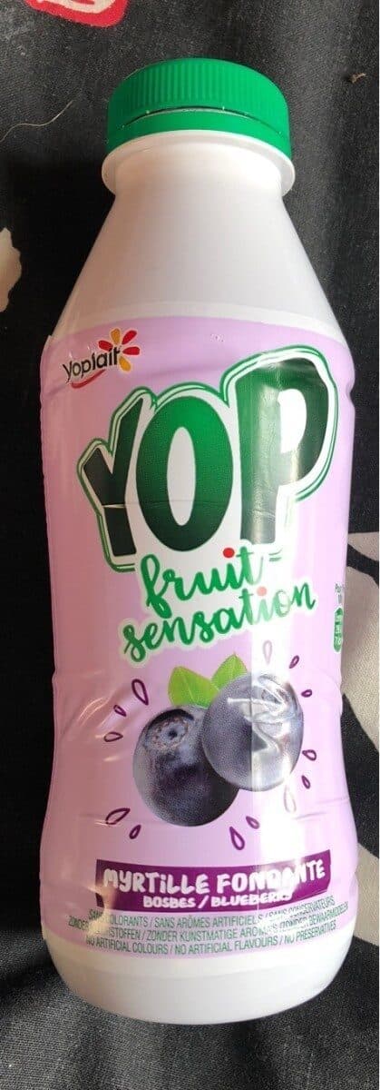 Yoplait Yop fruit sensation myrtille fondante packshot