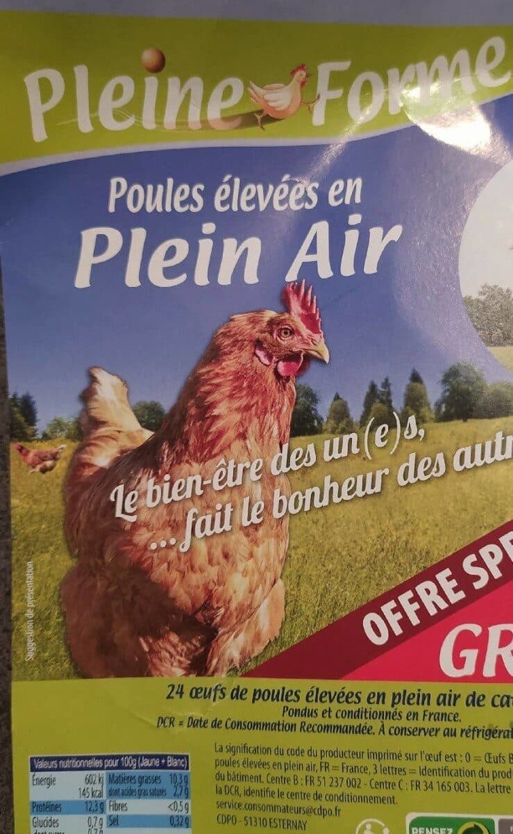 Les Œufs Bien de Chez Nous Poules élevées en plein air packshot