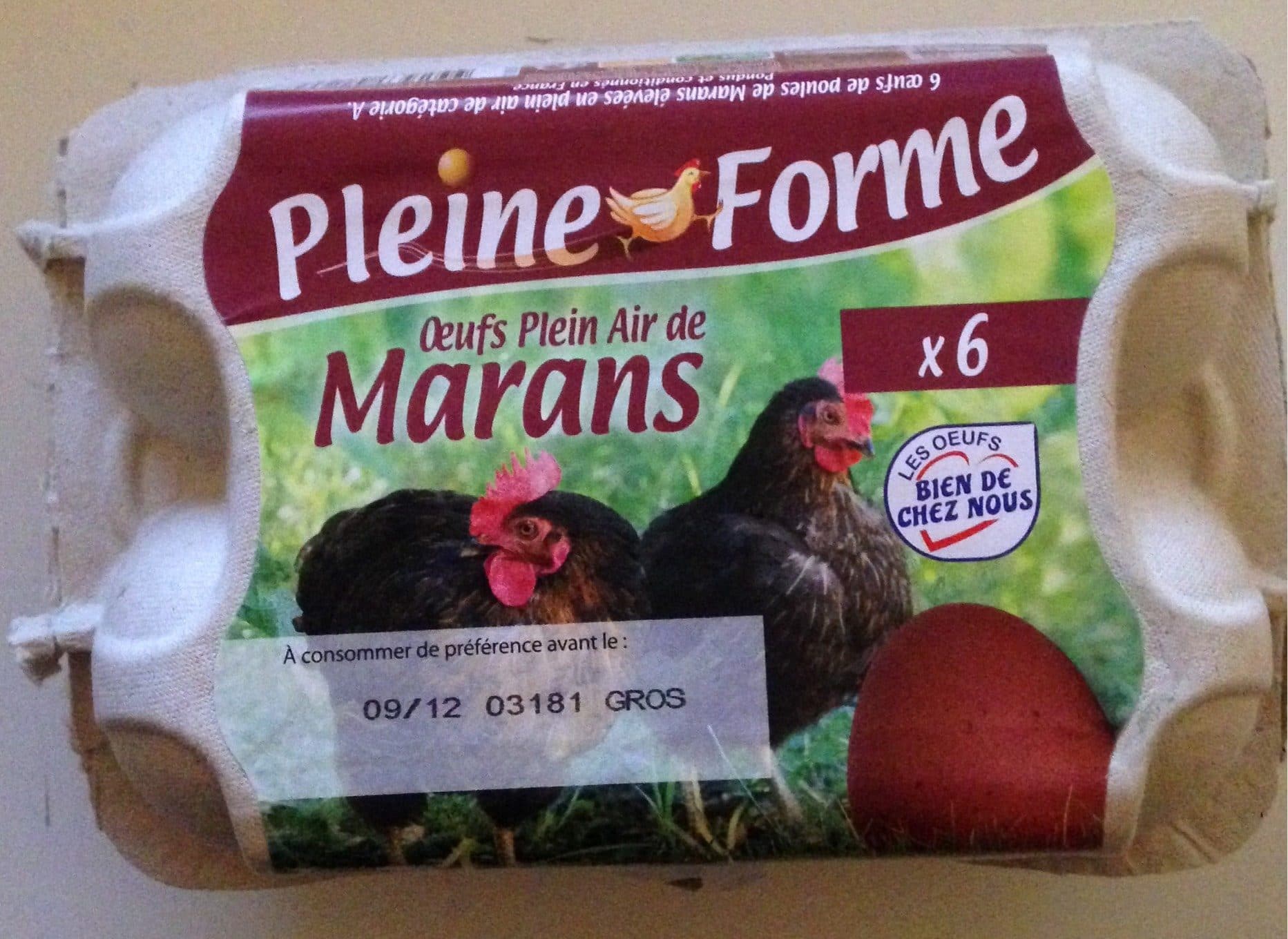 Pleine Forme Oeuf Plein Air de Marans packshot