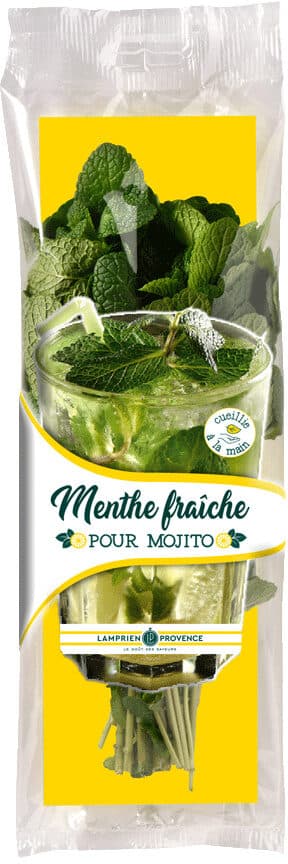 Lamprien Provence Menthe fraîche pour Mojito packshot