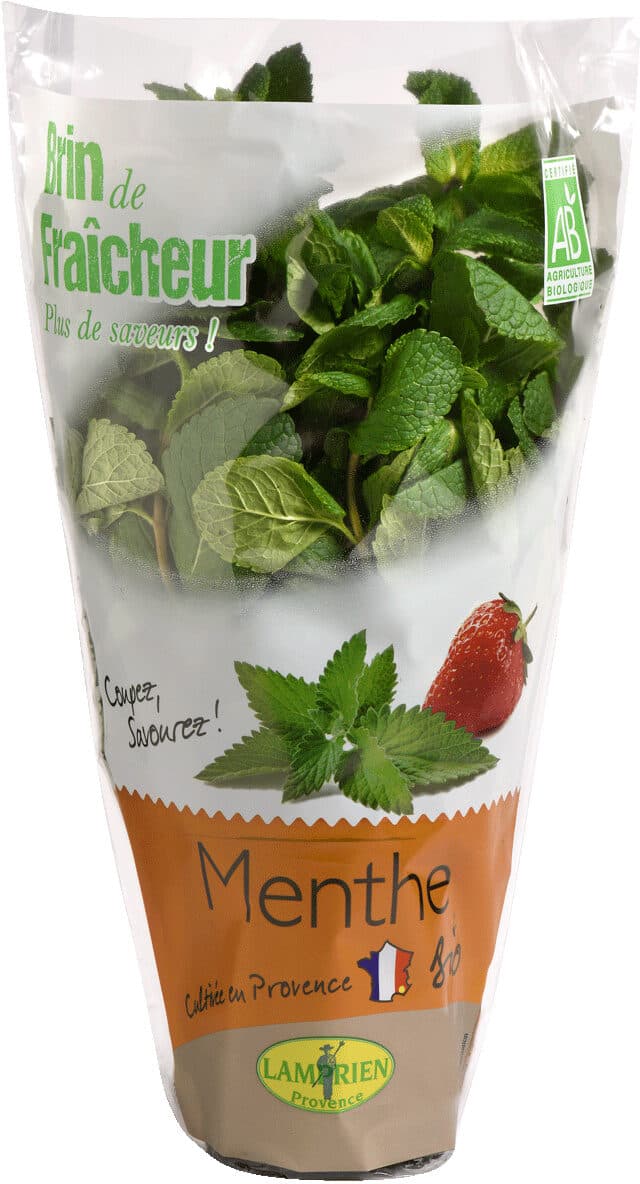 Lamprien Provence Menthe packshot