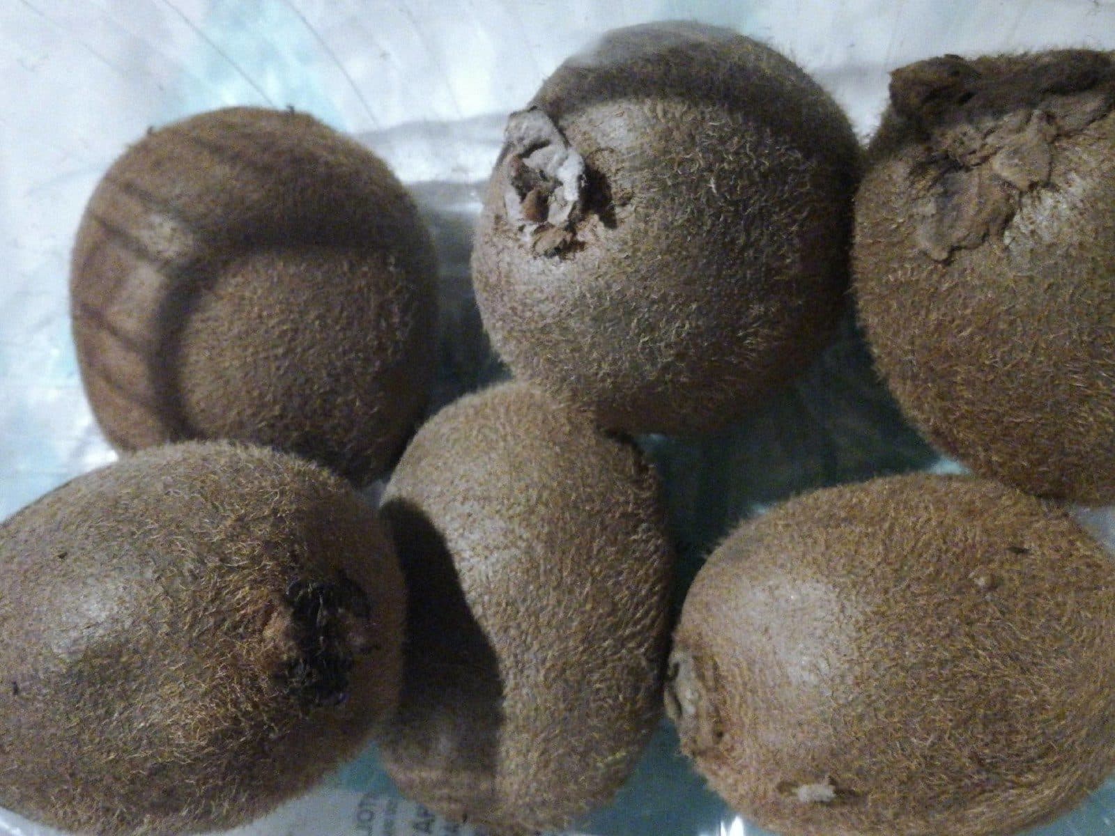 Open Food Facts Kiwi Hayward packshot