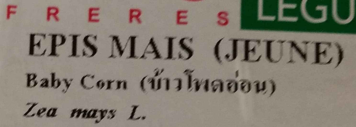 Tang Frères Épis Maïs (jeune) packshot
