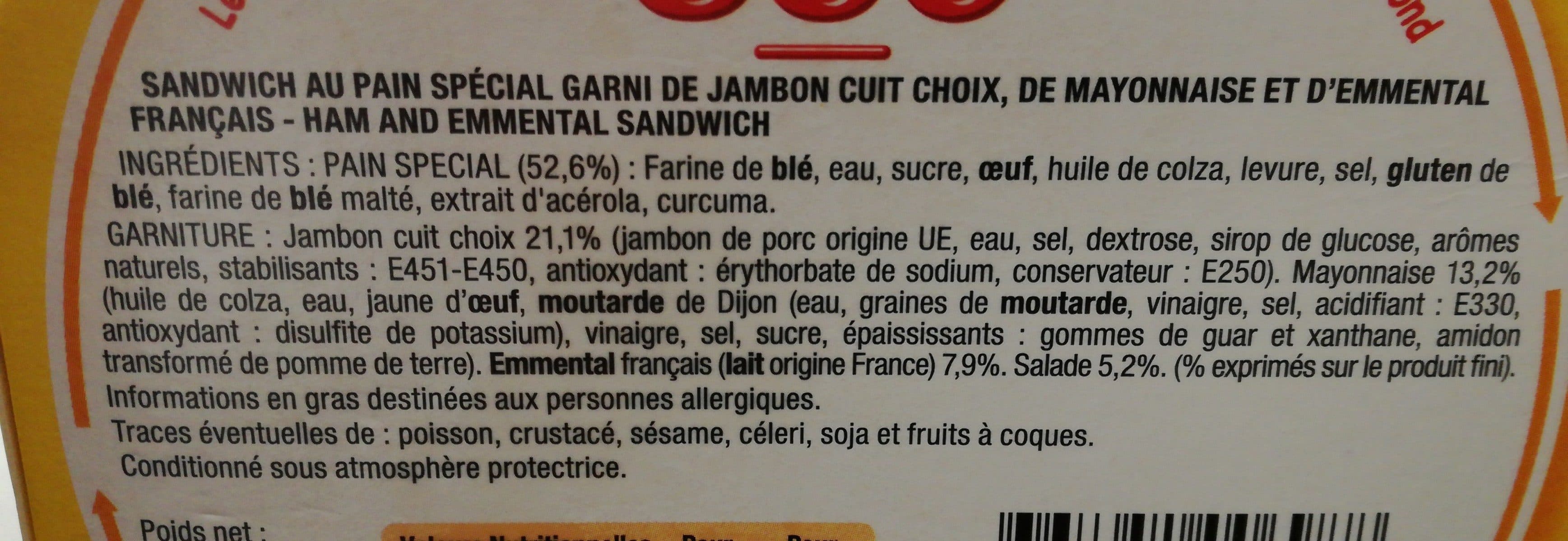 Daunat Le bagnat brioché - Jambon Emmental packshot