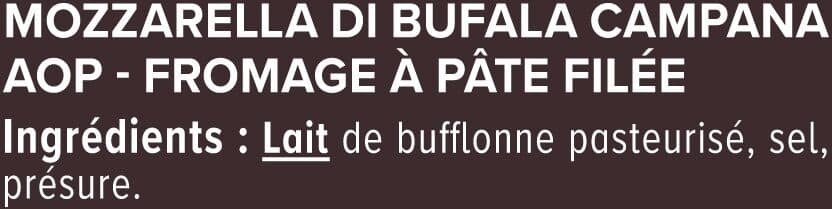 U Mozzarella AOP di bufala Campana au lait pasteurisé 25% de MG, 3x125g packshot