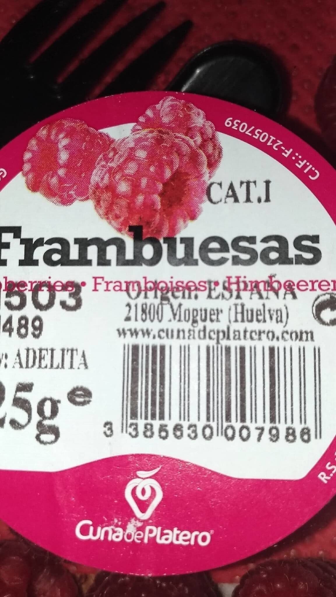 Sans marque Framboises packshot
