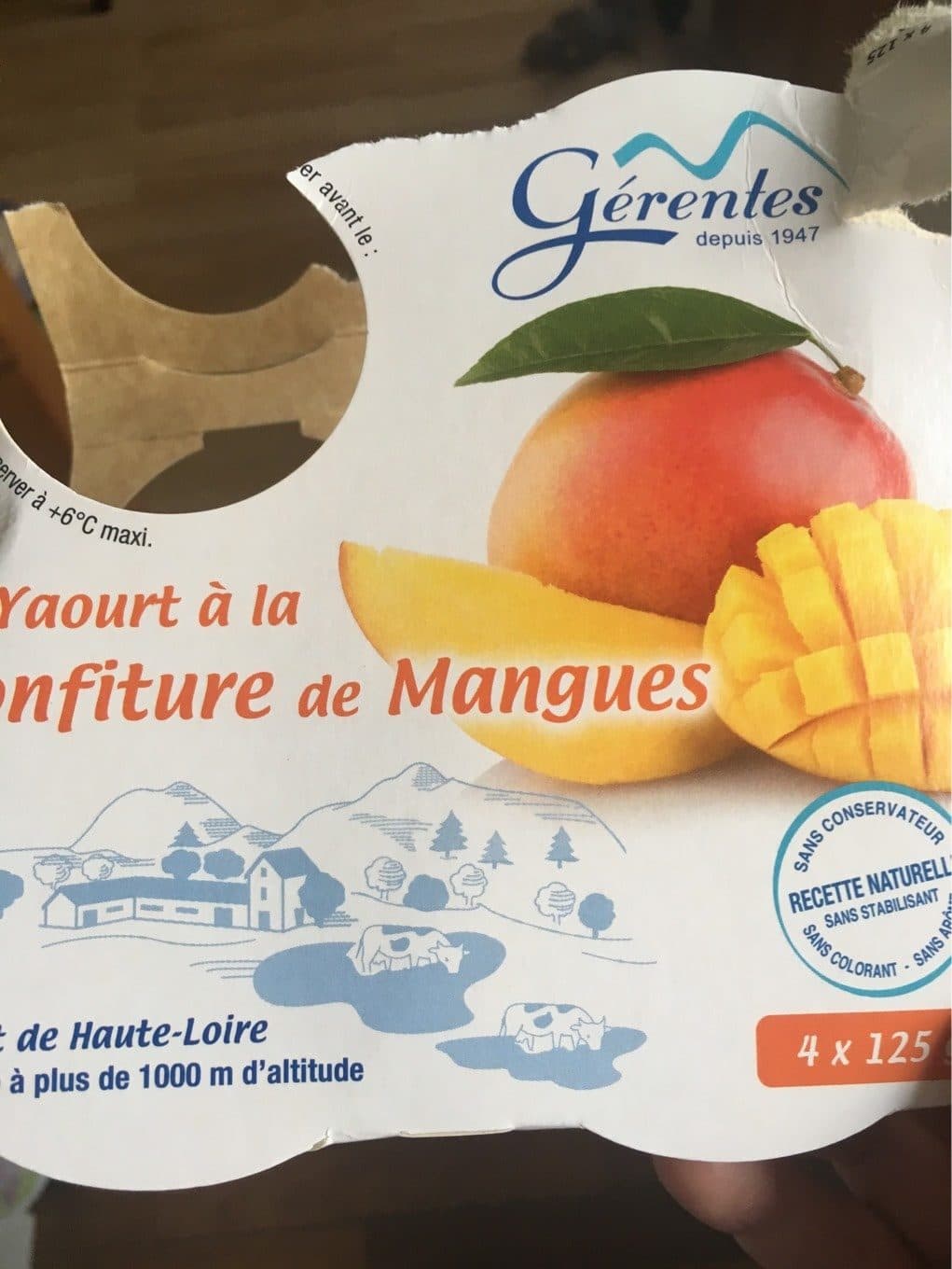 Gerentes Yaourt à la confiture de mangue packshot