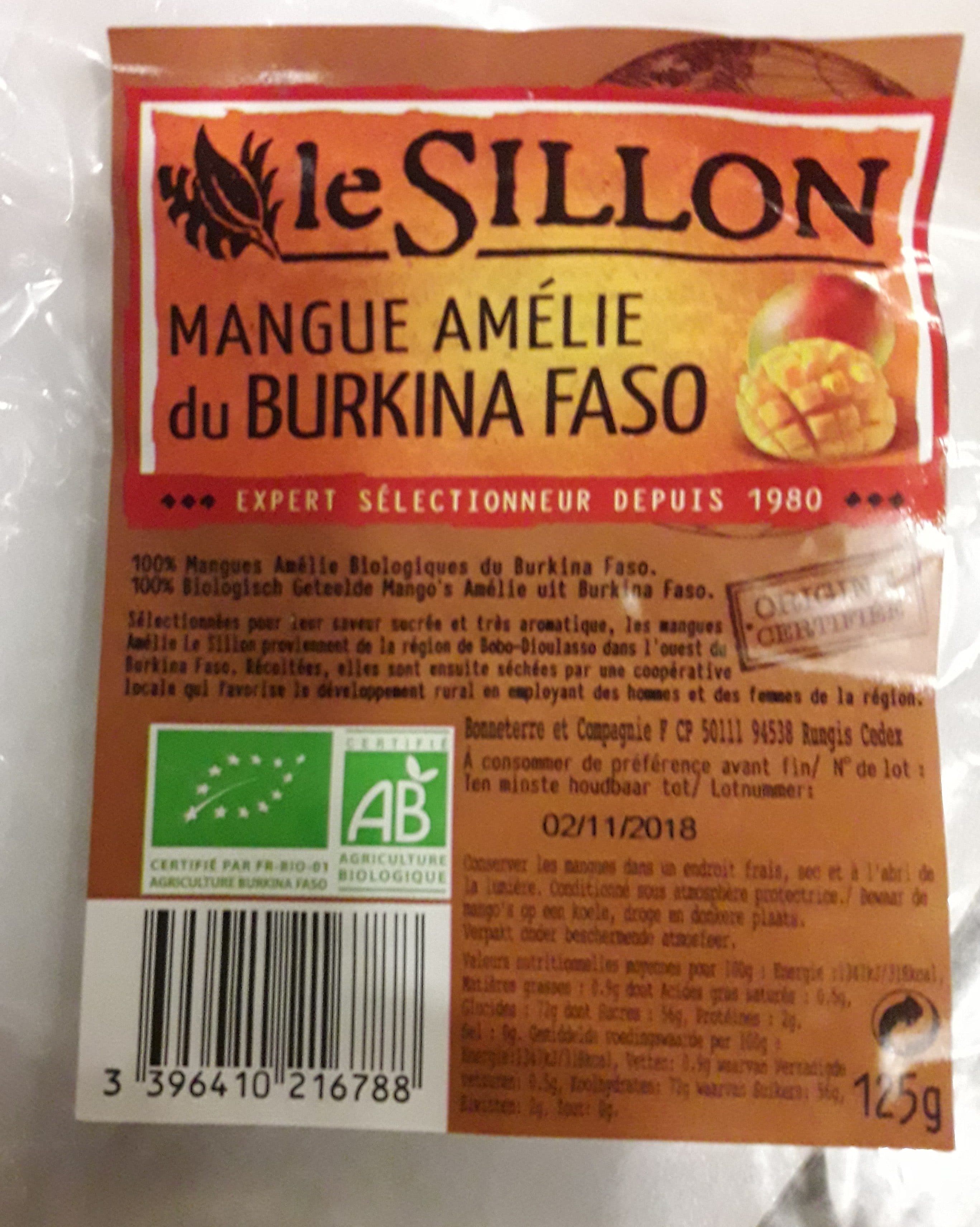 Le sillon Mangue Tranche packshot