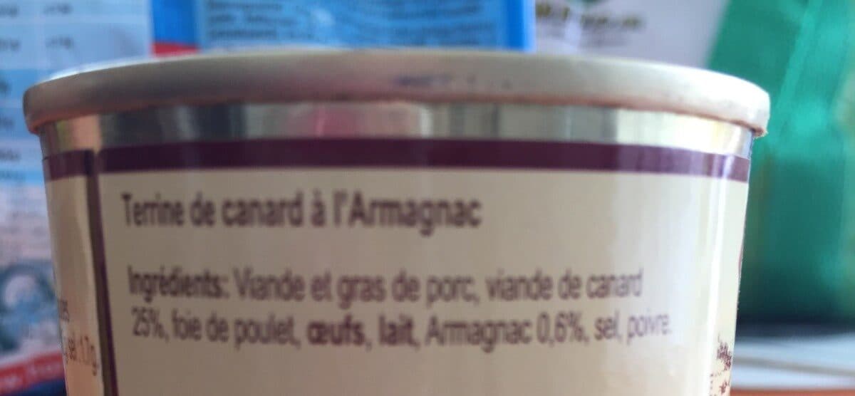 Les Saveurs De Bourdette Terrine de canard à l'armagnaque packshot