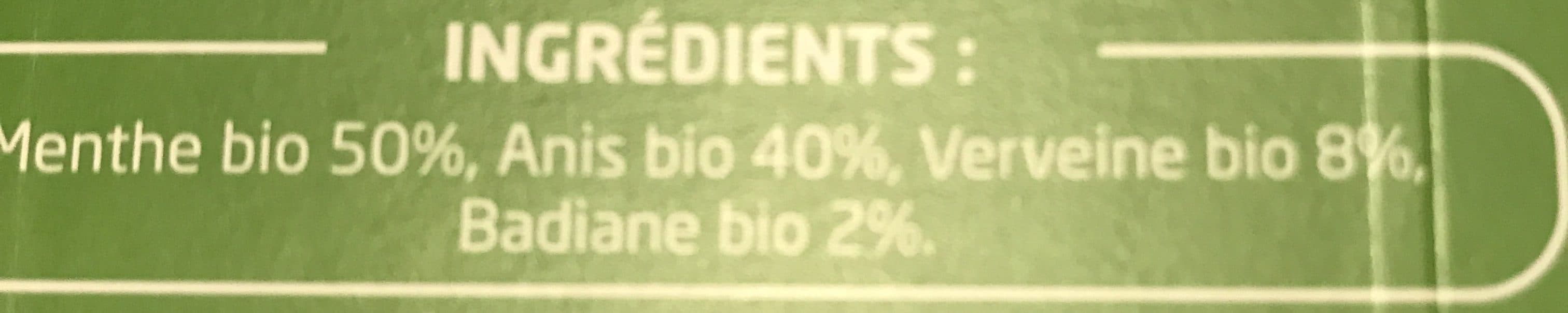 Pagès INFUSION APRES REPAS BIO menthe verveine anis badiane packshot