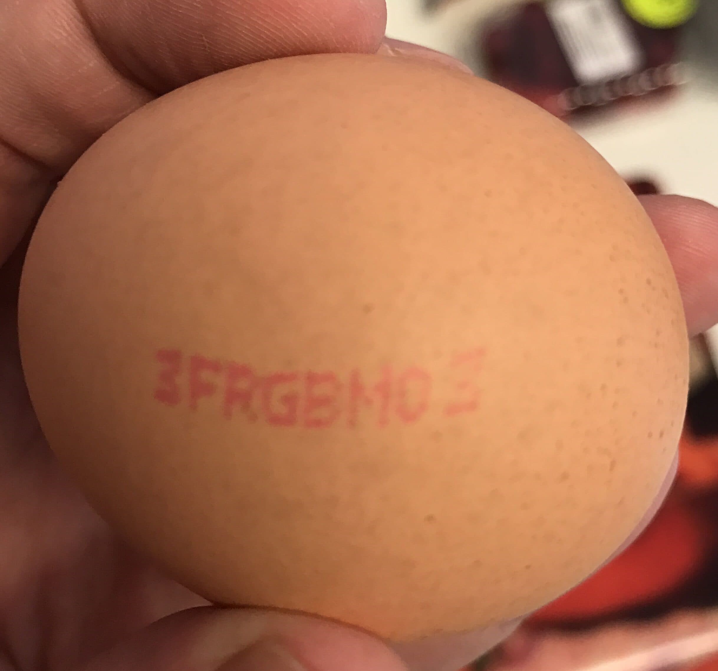 Top budget 10 oeufs packshot