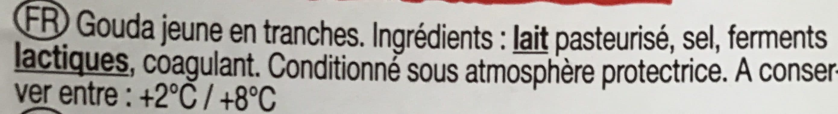 Paysan Breton Le Gouda packshot