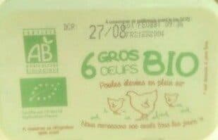oeuf de nos villages 6 GROS OEUFS BIO PLEINS AIR packshot