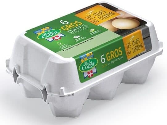 Baby Coque 6 gros œufs Baby Coque datés du jour de ponte packshot