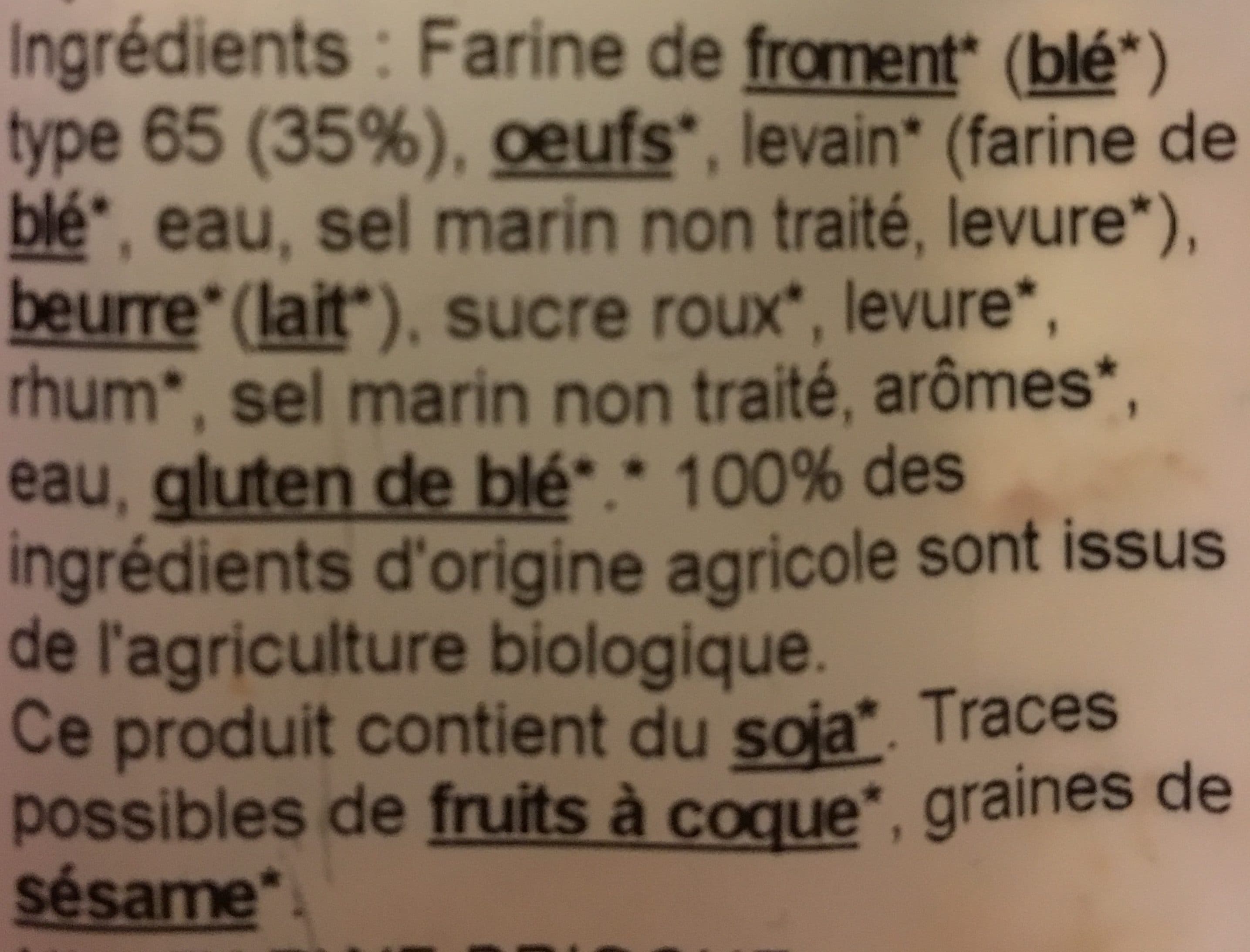 Biofournil Brioche Froment Bio packshot