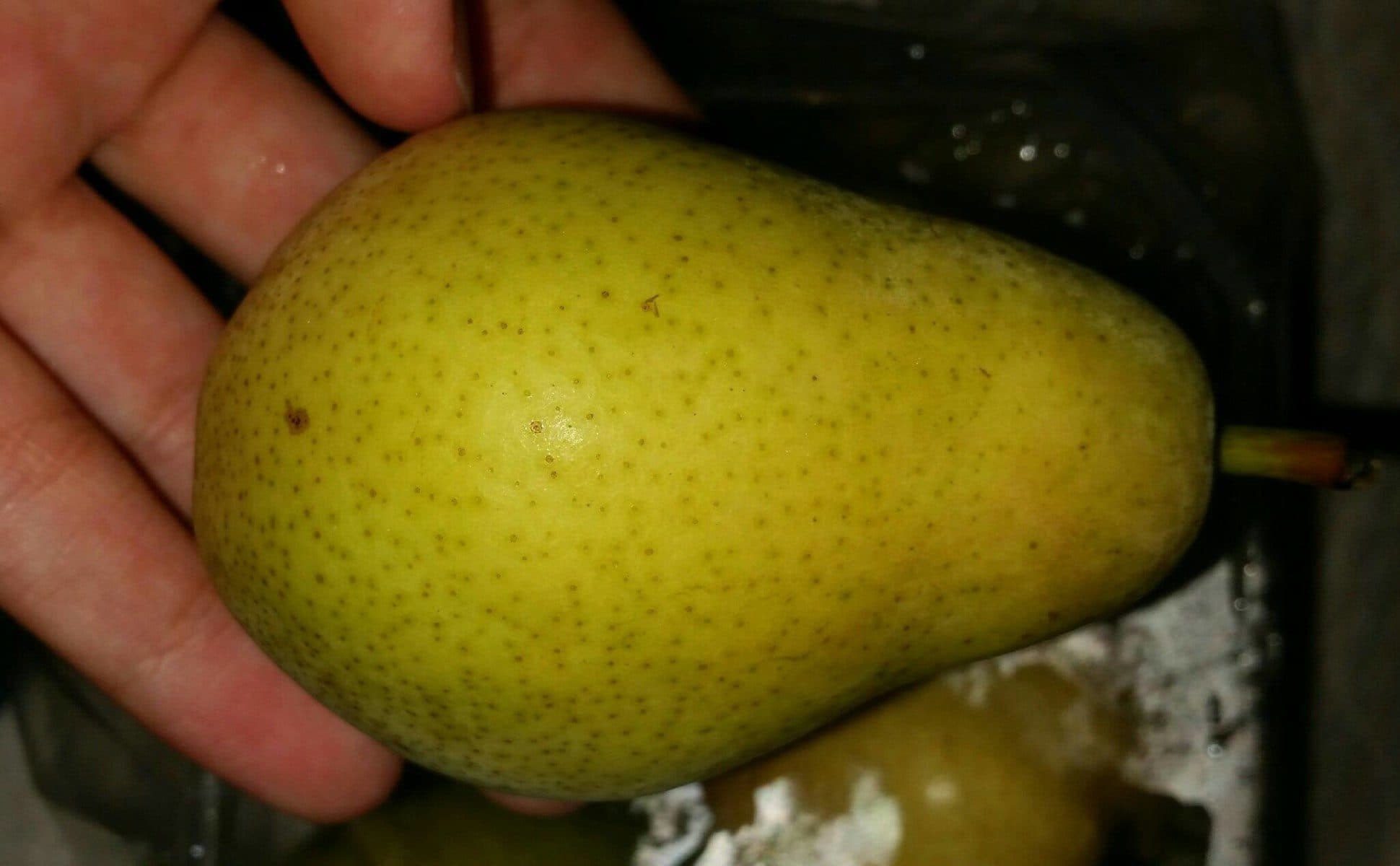 Open Food Facts Poire Guyot packshot