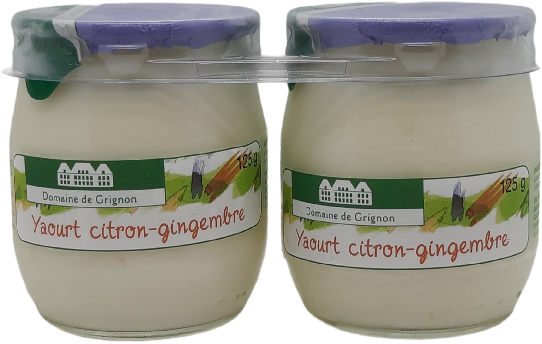 Domaine de grignon Yaourt brassé Citron Gingembre packshot