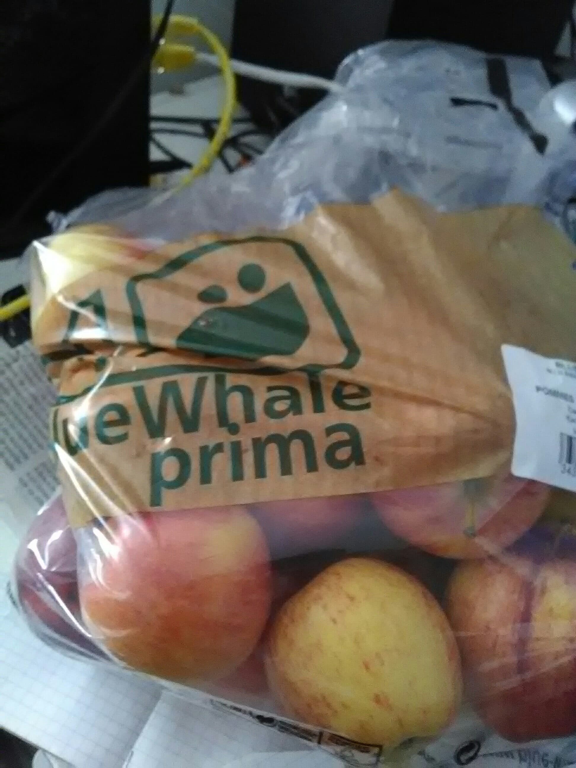 blue whale Pomme packshot