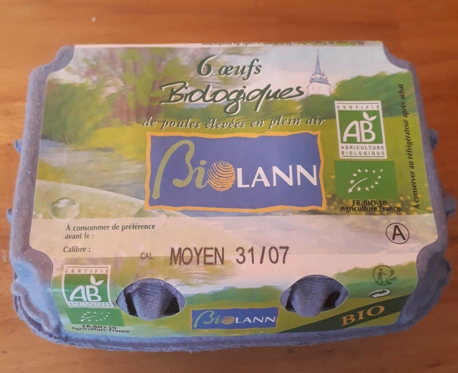 Biolann Oeufs X6 packshot