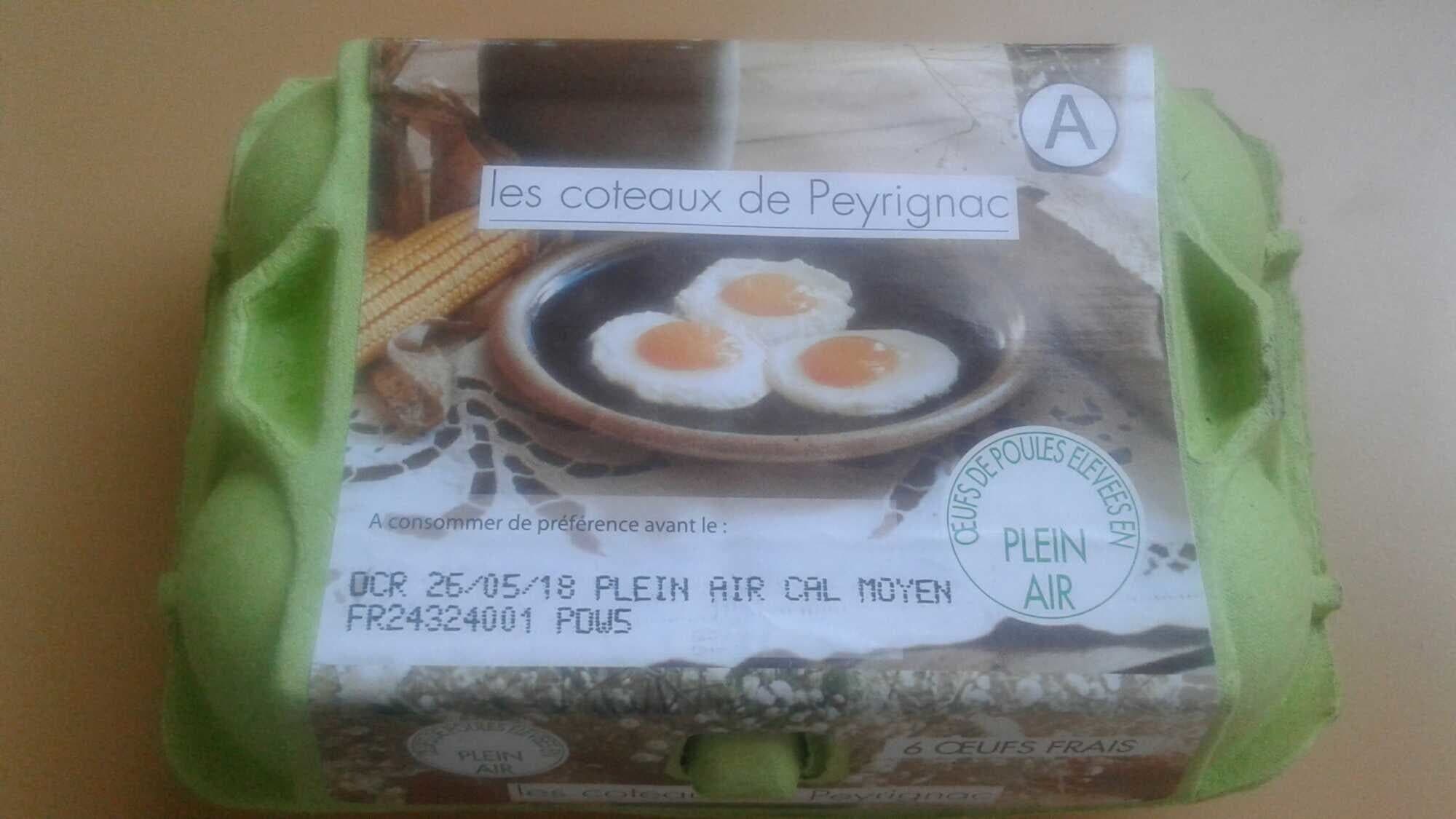 Les coteaux de Peyeignac Les Coteaux de Peyrignac oeuf frais plein air packshot