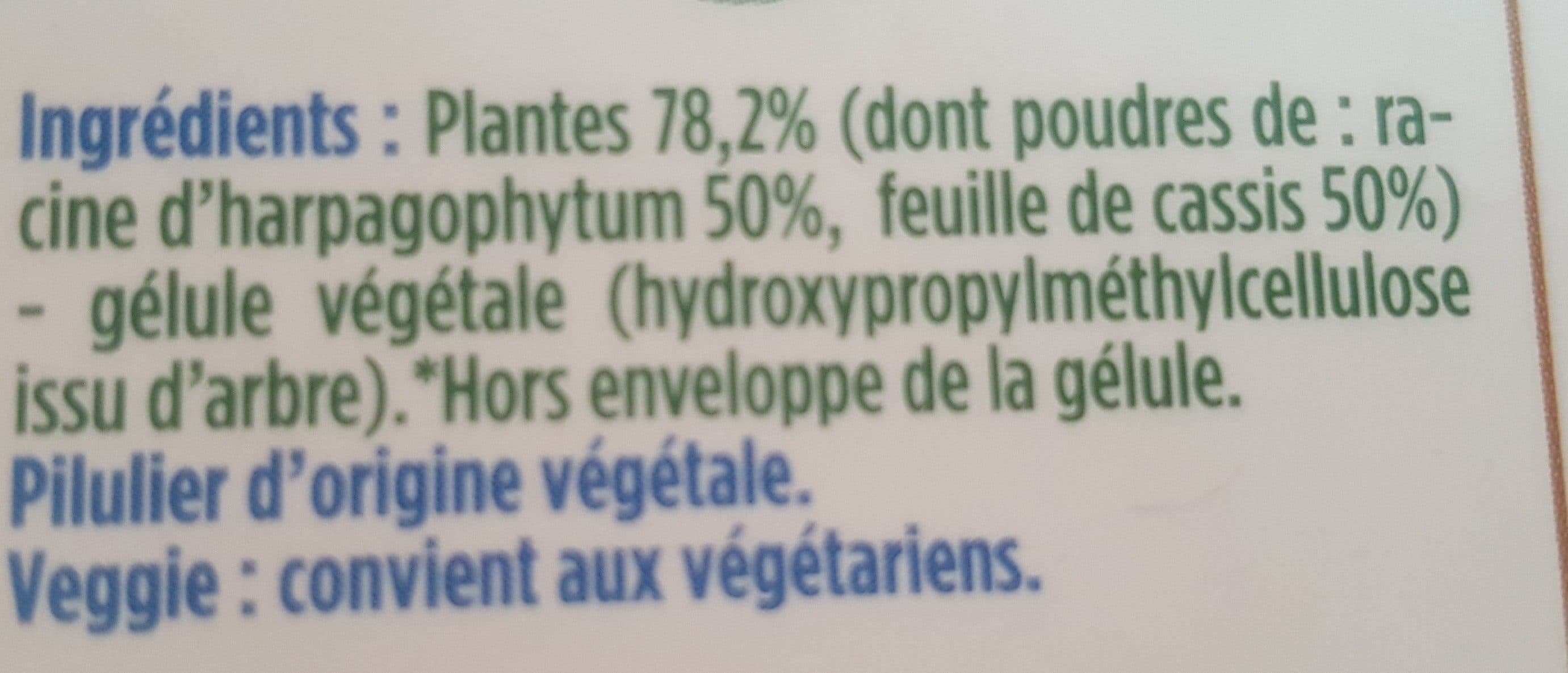 Floressance Confort Articulaire - Gélule Végétale -Harpagophytum - Cassis packshot