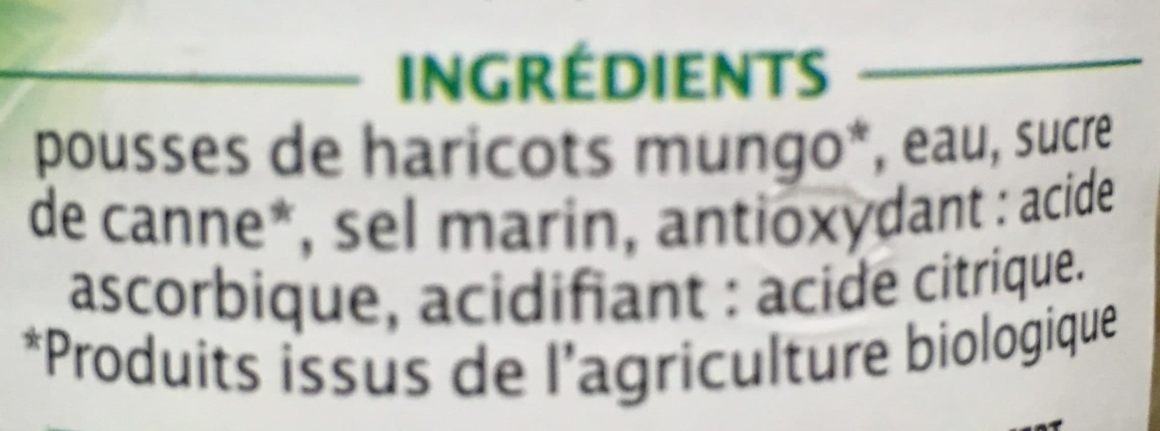 Jardin Bio Pousses de haricots mungo packshot