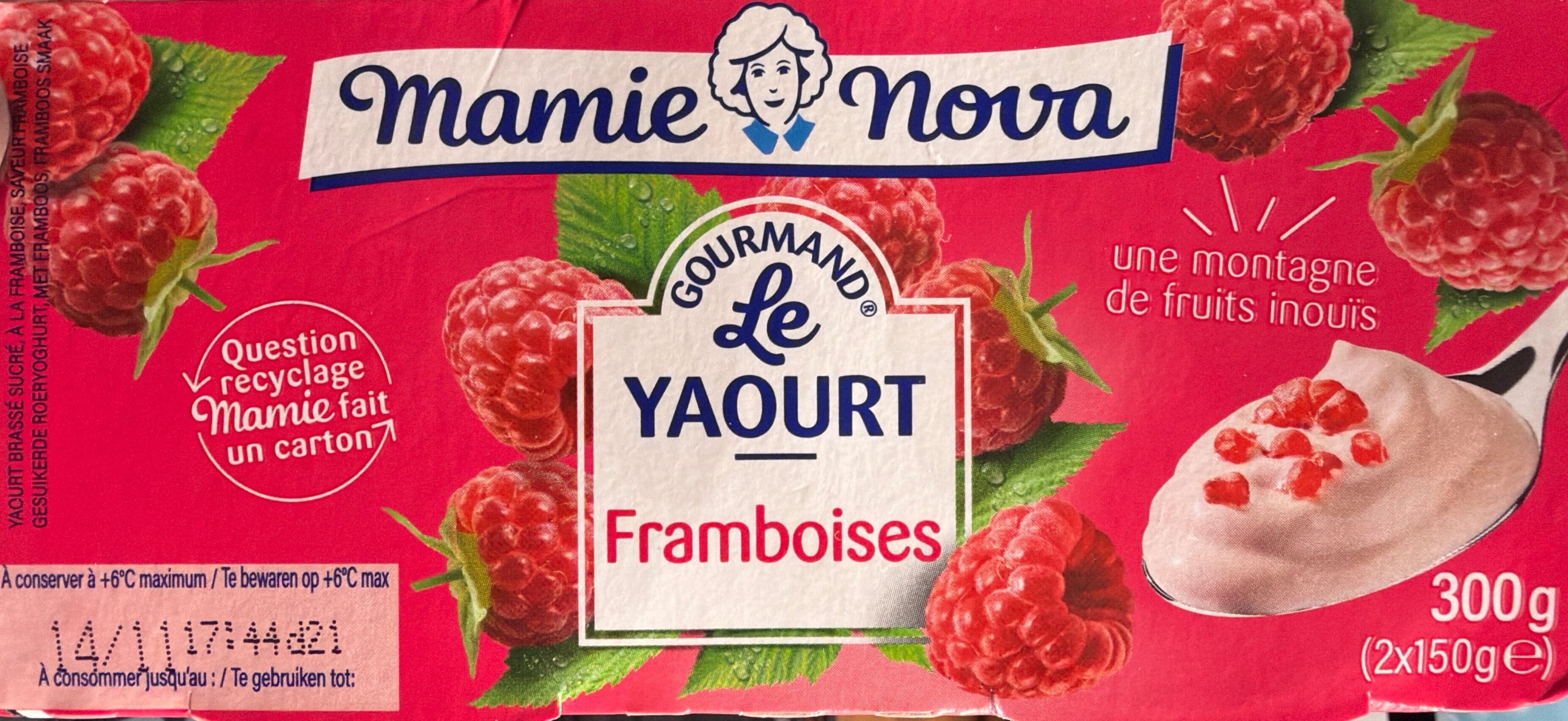 Mamie Nova Le Yaourt Gourmand - Framboises packshot