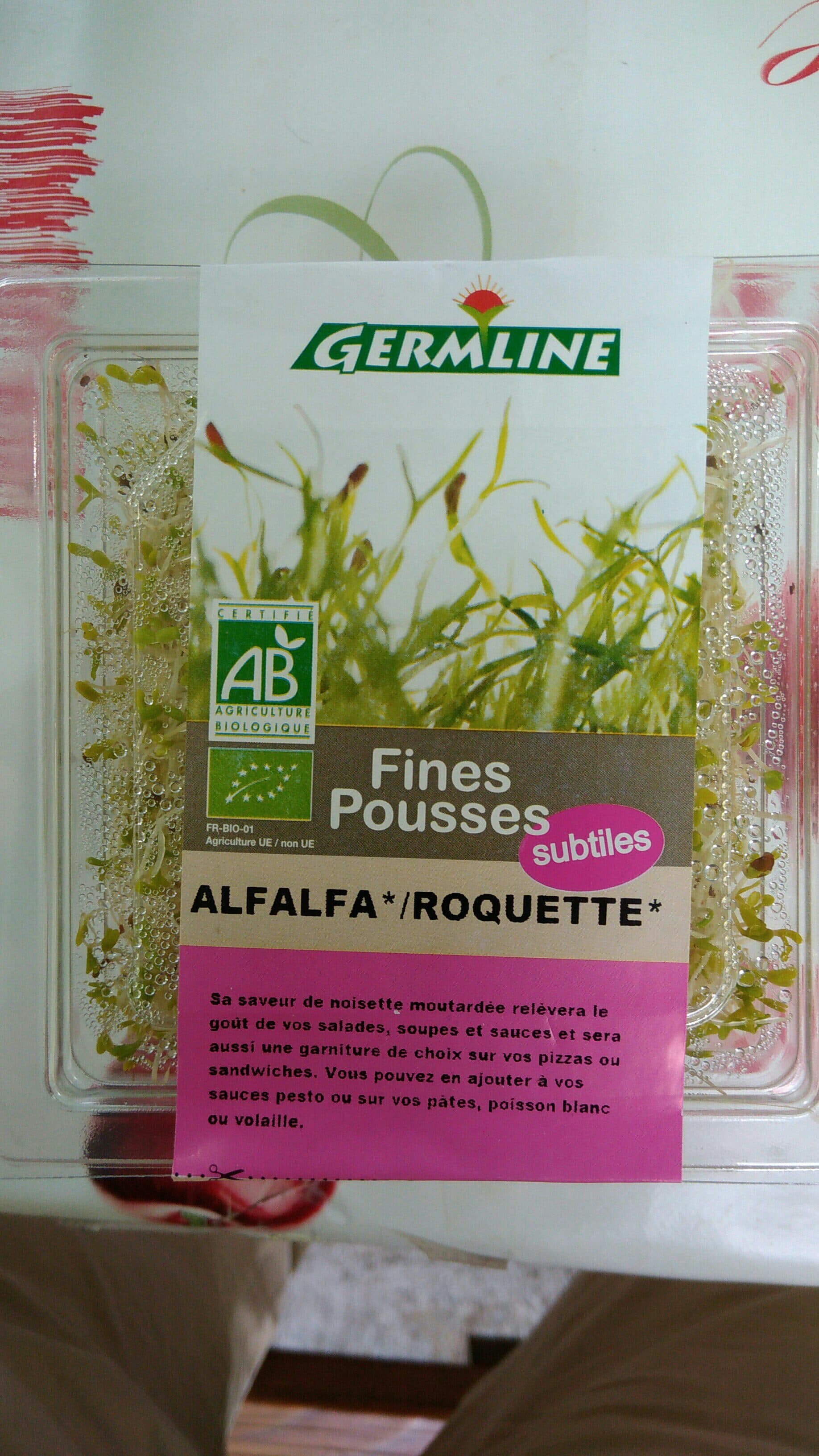 Germline Mix De Graines Germées Bio Alfalfa, Roquette, packshot