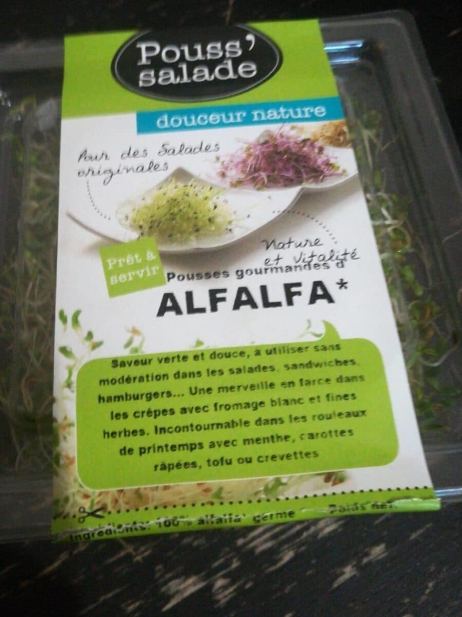 Pouss' Salade Alfalfa packshot