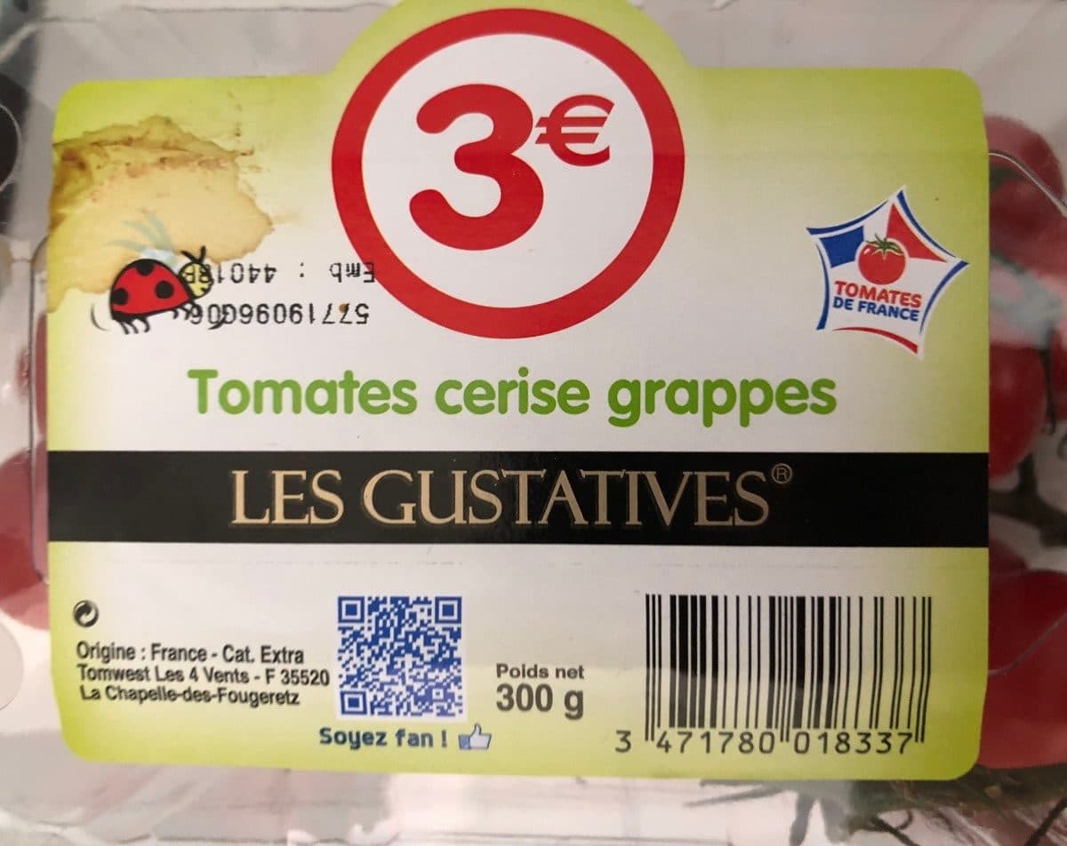 Les gustatives Tomates cerise grappes 'Les Gustatives' packshot