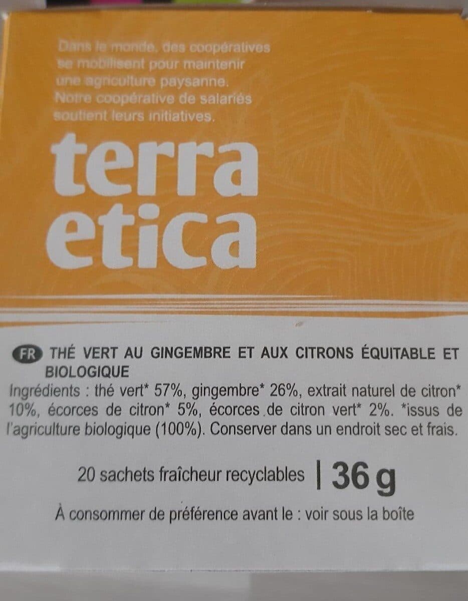 Terraetica The Vert Gingembre Citron Vert 20 Infusettes Bio packshot
