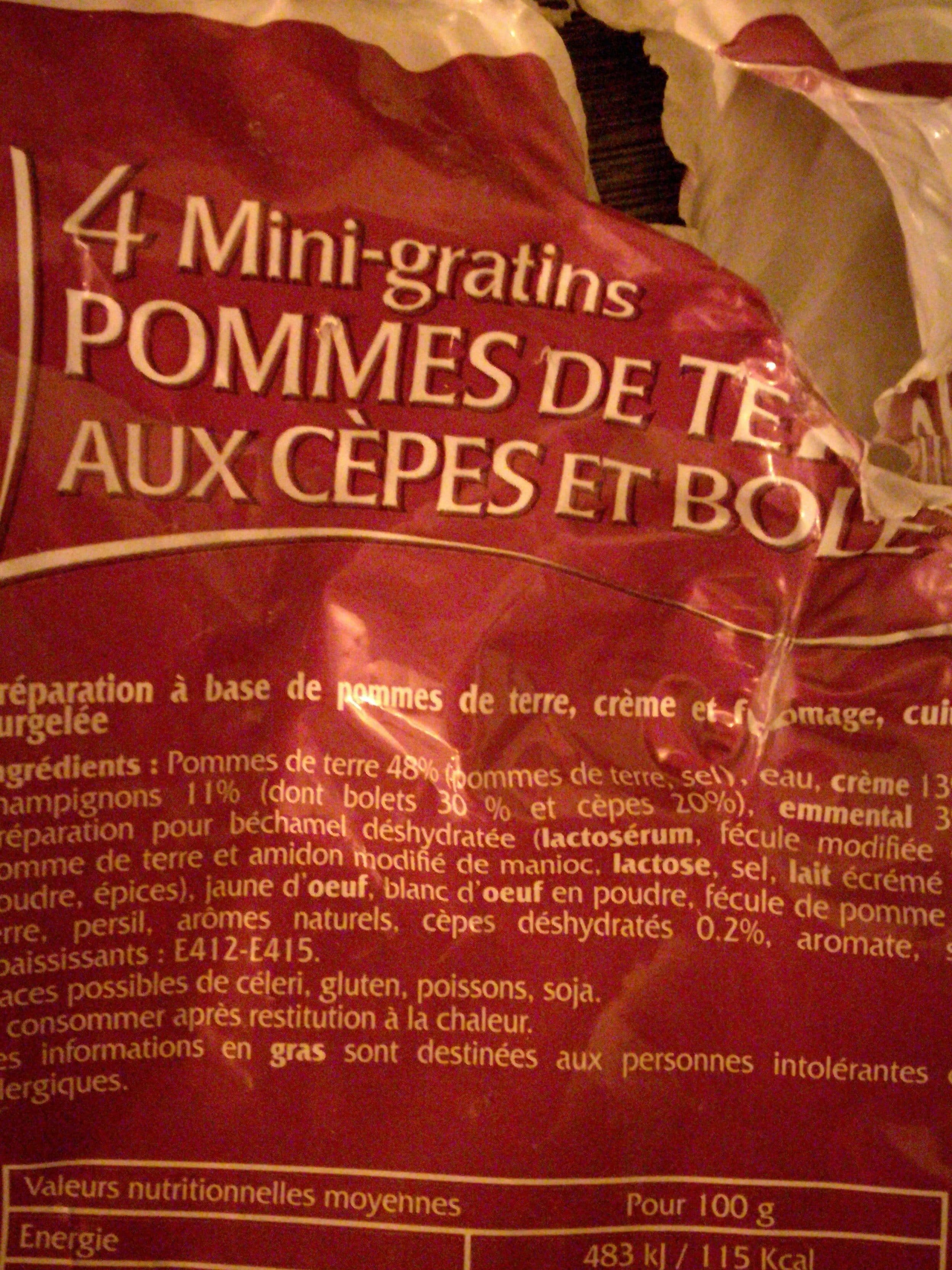 Toupargel Mini Gratin Pdt aux Cèpes et Bolets packshot