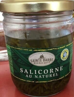 Sainte Barbe Salicorne au naturel packshot