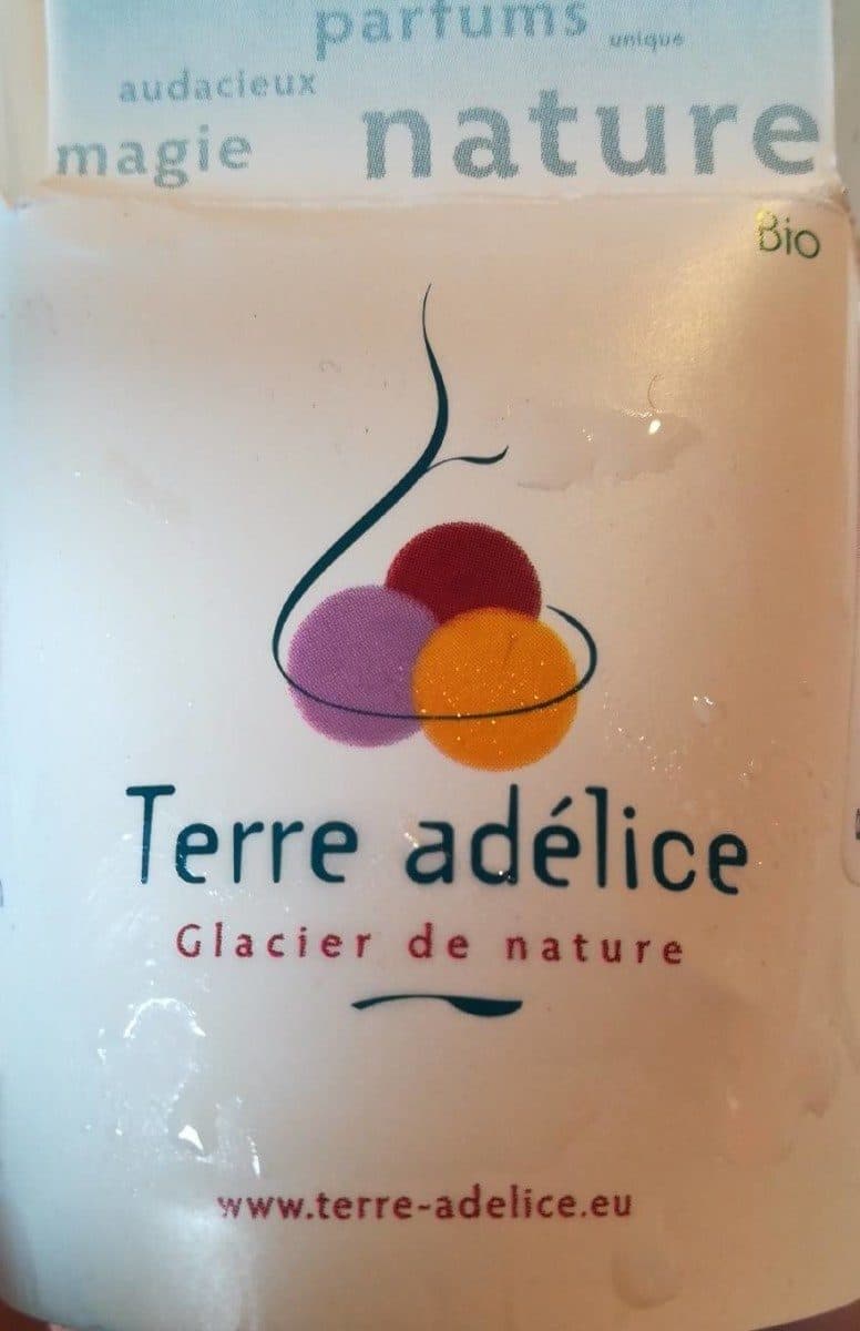 Terre Adélice Glace châtaigne aux marrons confits packshot