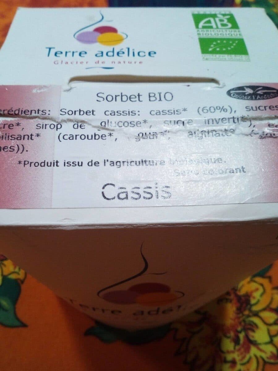 Terre Adélice Sorbet cassis packshot
