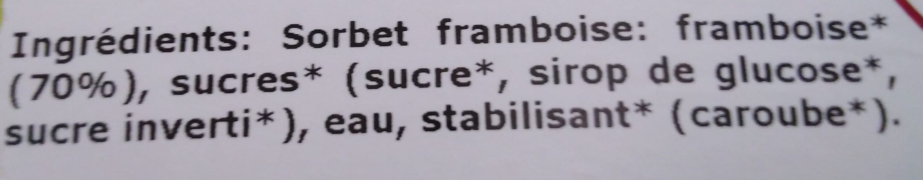 Terre Adélice Framboise sorbet BIO packshot