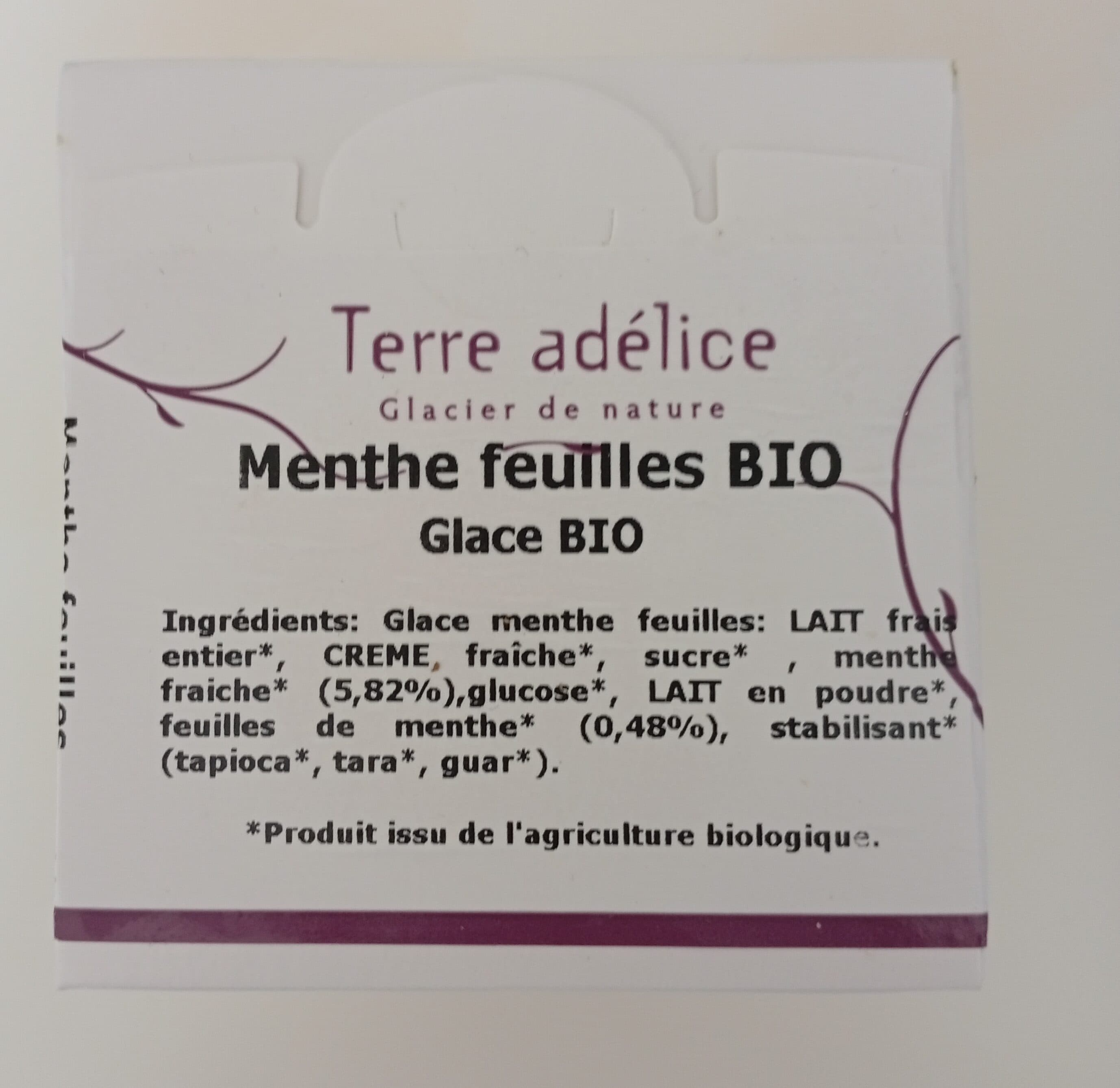 Terre Adélice Glace menthe feuilles bio packshot